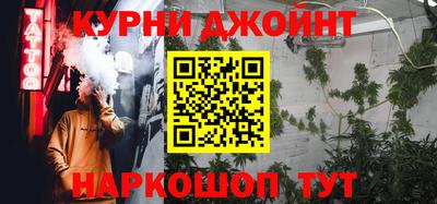 гидра Будённовск