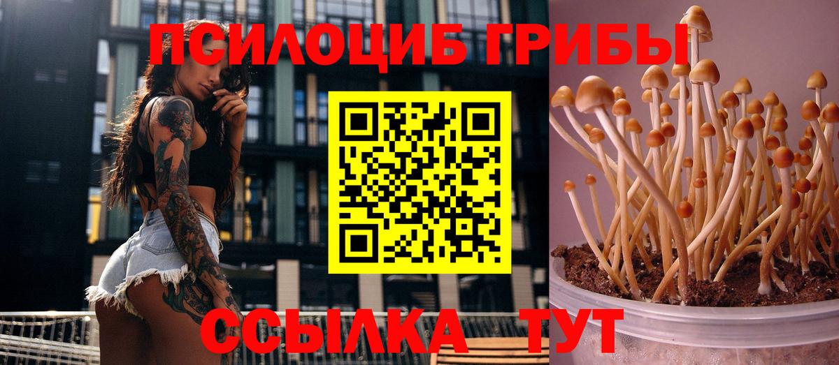 Пенза  Галлюциногенные грибы Psilocybe  Вход с VPN 