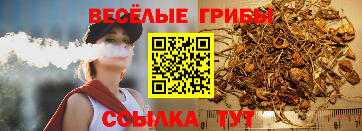 Псилоцибиновые грибы GOLDEN TEACHER Пенза